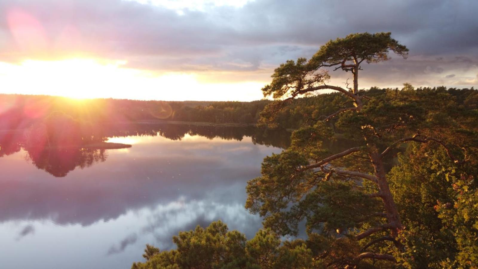 Ryteblota Resort & Spa Zbiczno Kültér fotó